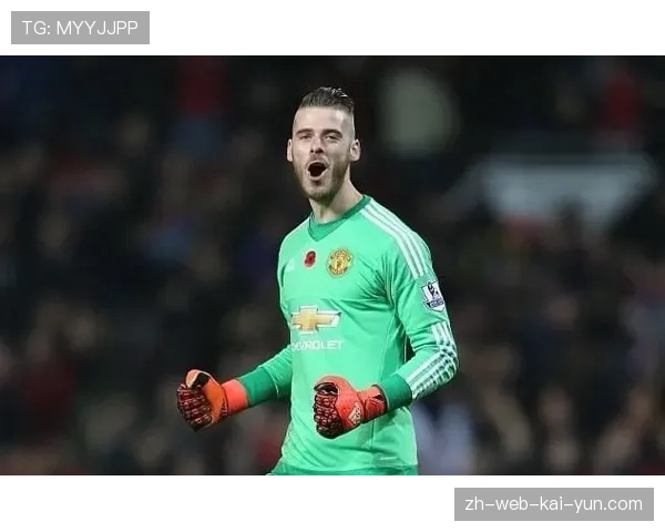 海登海姆失球数达63个 防守体系重建迫在眉睫